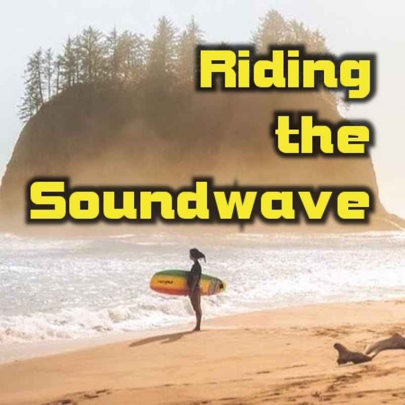 Cover of Riding The Soundwave 31: Past, Present, Future