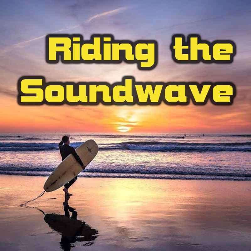 Cover of Riding The Soundwave 77: Perplexity