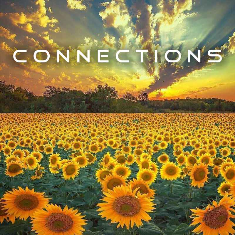 Cover of Connections 04