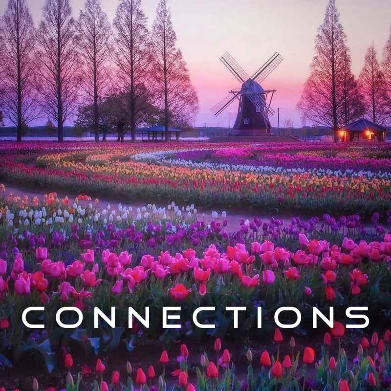 Cover of Connections 05