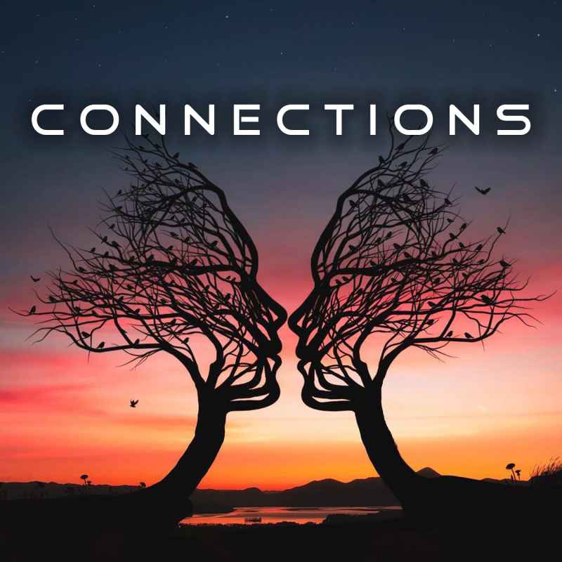 Cover of Connections 11