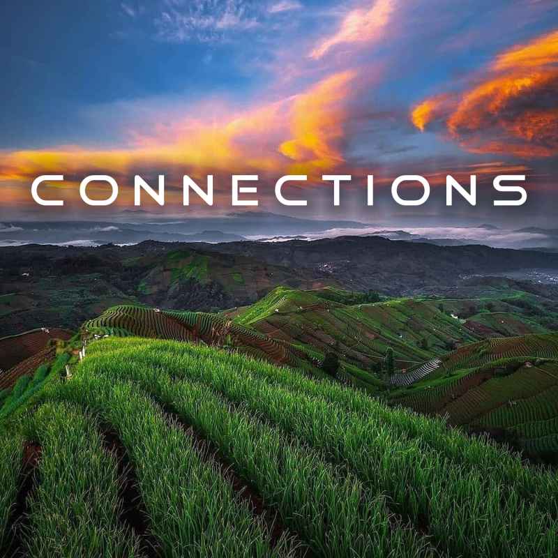 Cover of Connections 16