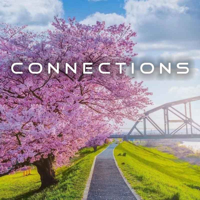 Cover of Connections 17