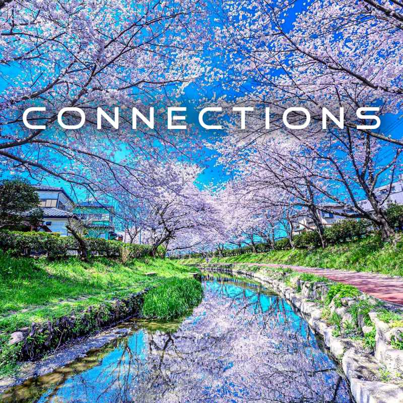 Cover of Connections 20