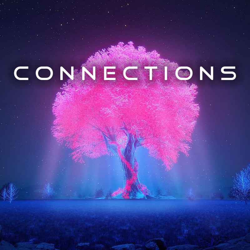 Cover of Connections 24