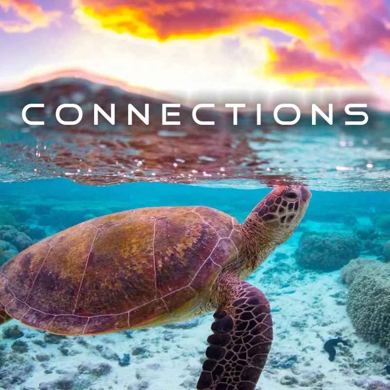 Cover of Connections 27