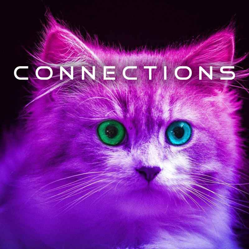 Cover of Connections 31
