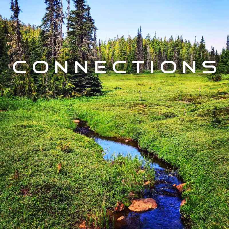 Cover of Connections 35