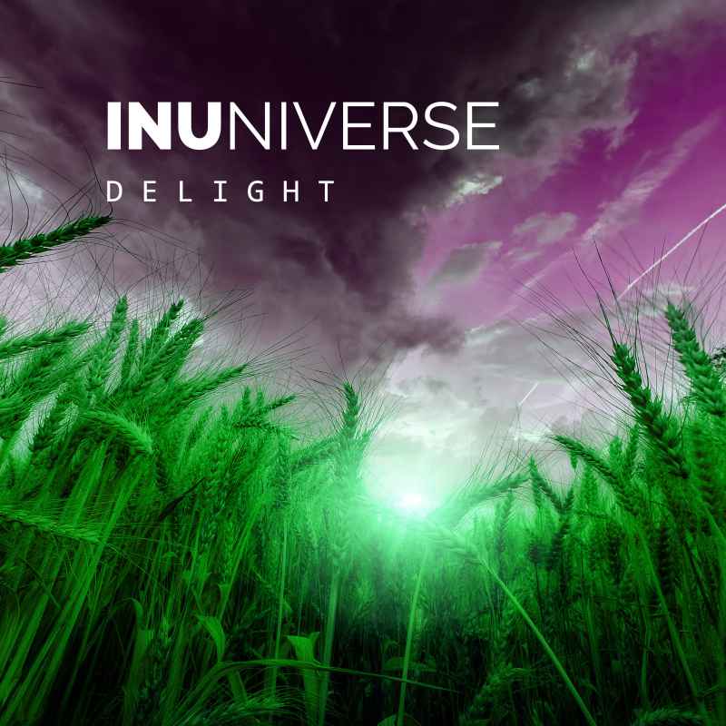 Cover of INUniverse Delight