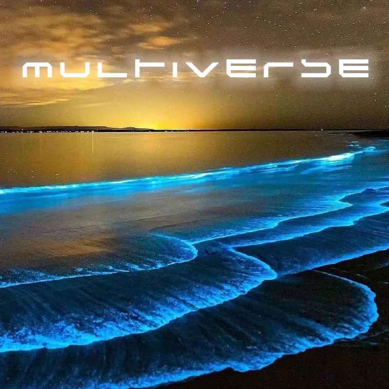 Cover of Multiverse 14