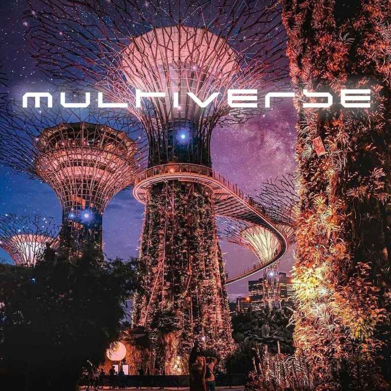 Cover of Multiverse 18