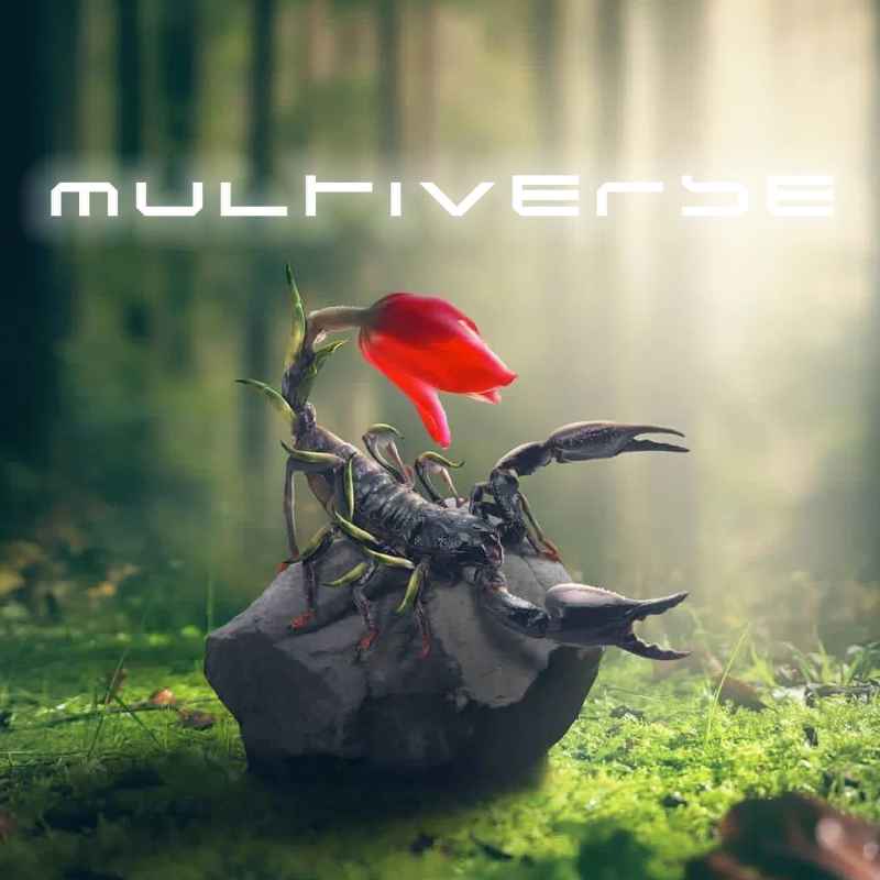 Cover of Multiverse 37