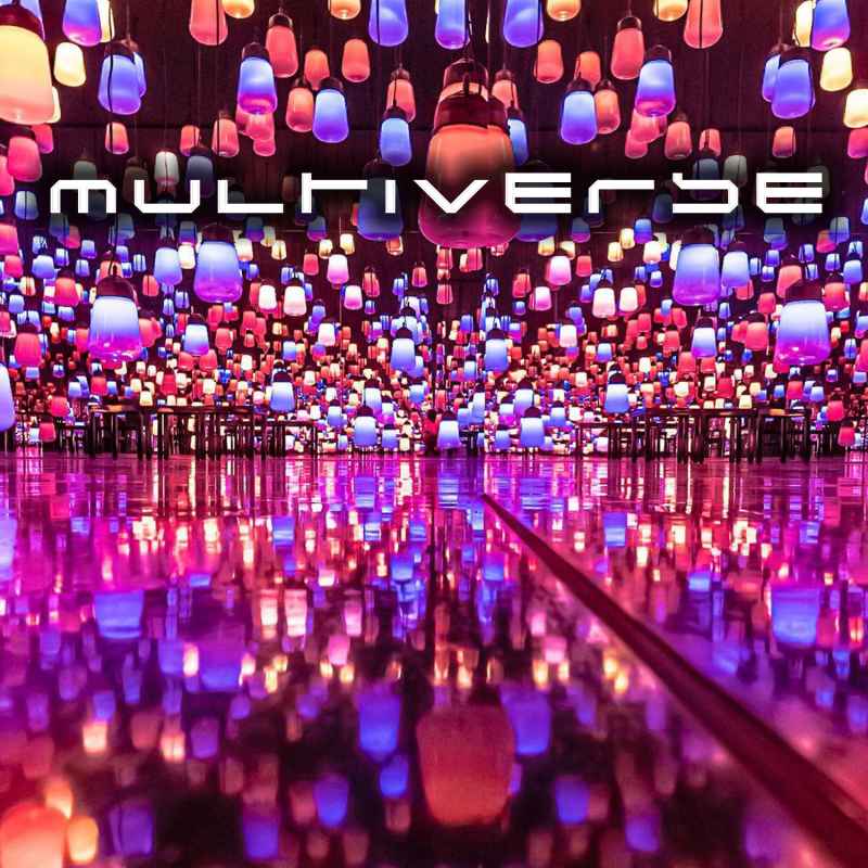 Cover of Multiverse 46